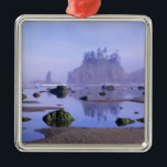 WA, Olympic National Park, Second Beach, Silbernes Ornament<br><div class="desc">COPYRIGHT Jamie & Judy Wild / DanitaDelimont.com| US48 JWI1895.jpg| WA,  Olympischer Nationalpark,  zweiter Strand,  Tidepools und Meeresfrüchte</div>