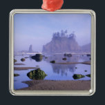 WA, Olympic National Park, Second Beach, Silbernes Ornament<br><div class="desc">COPYRIGHT Jamie & Judy Wild / DanitaDelimont.com| US48 JWI1895.jpg| WA,  Olympischer Nationalpark,  zweiter Strand,  Tidepools und Meeresfrüchte</div>