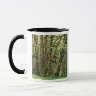 WA, Olympic NP, Hoh Rain Forest, Hall of Fame Tasse