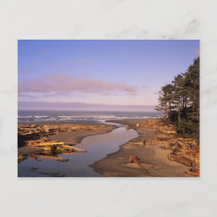 WA, Olympic NP, Kalaloch Beach und Kalaloch Postkarte