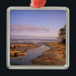 WA, Olympic NP, Kalaloch Beach und Kalaloch Silbernes Ornament<br><div class="desc">COPYRIGHT Jamie & Judy Wild / DanitaDelimont.com| US48 JWI1316.jpg| WA,  Olympic NP,  Kalaloch Beach und Kalaloch Creek</div>