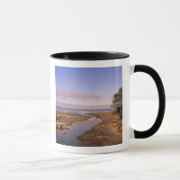 WA, Olympic NP, Kalaloch Beach und Kalaloch