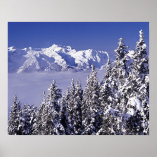 WA, Olympic NP, olympische Gebirgskette, Aussicht Poster