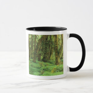 WA, Olympic NP, Quinault-Regenwald, Moos Tasse
