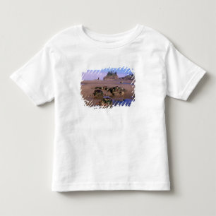 WA, Olympic NP, Second Beach mit Gezeitentümpeln u Kleinkind T-shirt