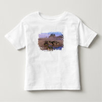 WA, Olympic NP, Second Beach mit Tidepools und
