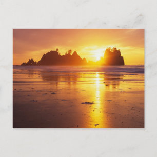 WA, Olympic NP, Shi Shi Beach bei Sonnenuntergang, Postkarte