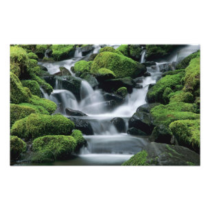WA, Olympic NP, Sol Duc Valley, Bach mit Fotodruck