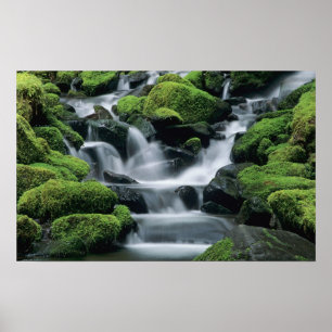 WA, Olympic NP, Sol Duc Valley, Bach mit Poster