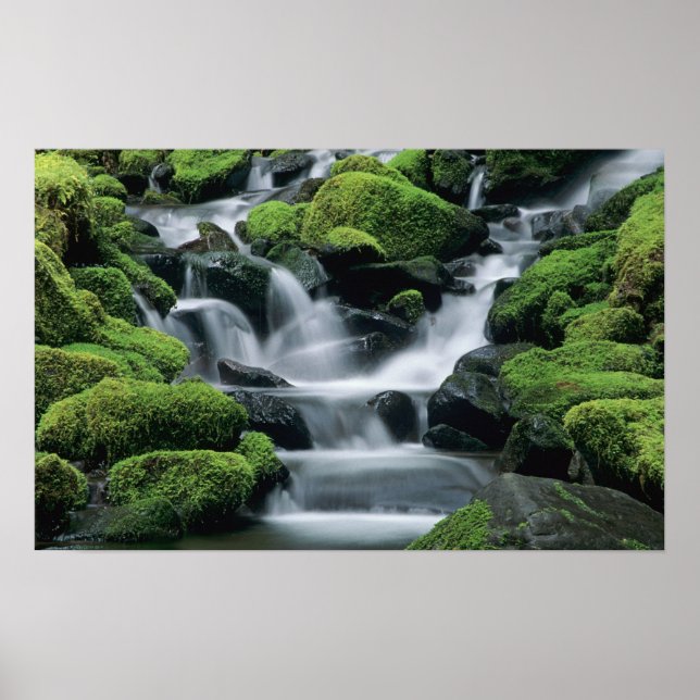 WA, Olympic NP, Sol Duc Valley, Fluss mit Poster (Vorne)