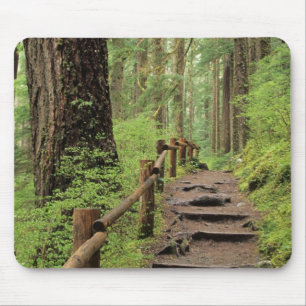 WA, Olympic NP, Sol Duc Valley, Regenwald Mousepad