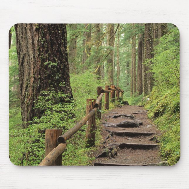 WA, Olympic NP, Sol Duc Valley, Regenwald Mousepad (Vorne)