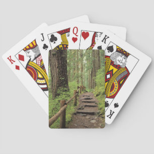 WA, Olympic NP, Sol Duc Valley, Regenwald Spielkarten