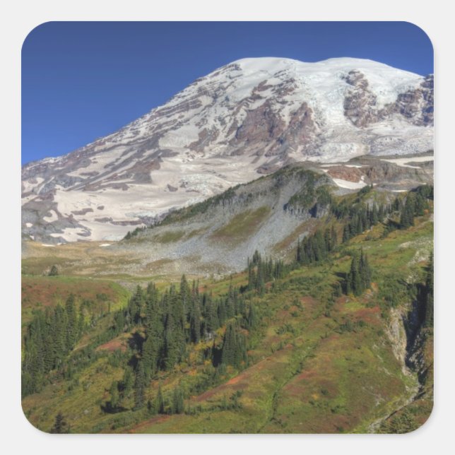 WA, Rainier National Park, Aussicht vom Quadratischer Aufkleber (Vorderseite)