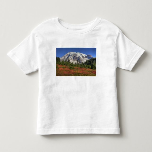 WA, Rainier National Park, Paradise Valley Kleinkind T-shirt (Vorderseite)