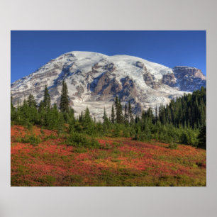 WA, Rainier National Park, Paradise Valley Poster