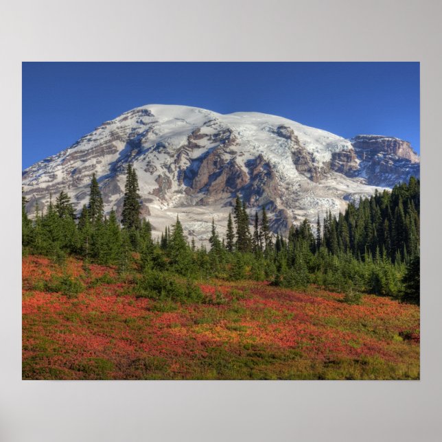 WA, Rainier National Park, Paradise Valley Poster (Vorne)