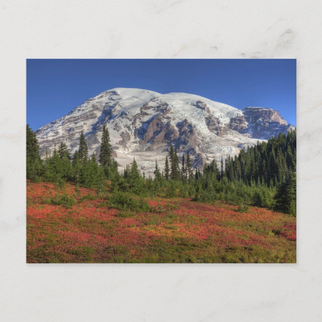 WA, Rainier National Park, Paradise Valley Postkarte (Vorderseite)