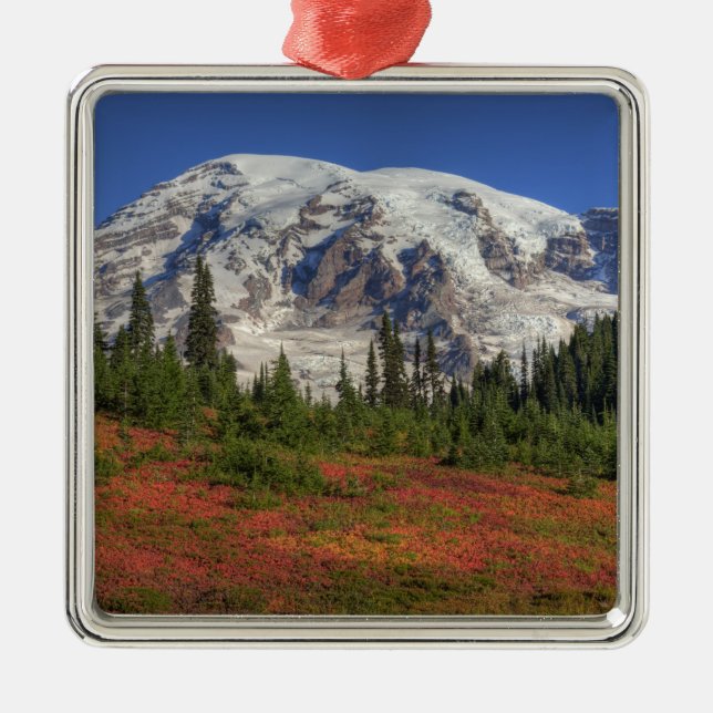 WA, Rainier National Park, Paradise Valley Silbernes Ornament (Vorne)