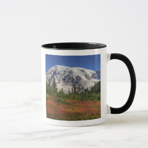 WA, Rainier National Park, Paradise Valley Tasse