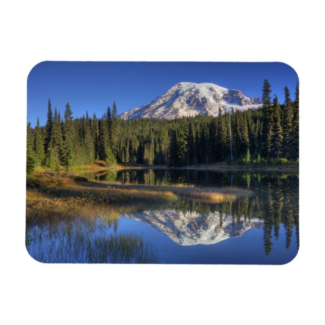 WA, Rainier National Park, Rainier Magnet (Horizontal)
