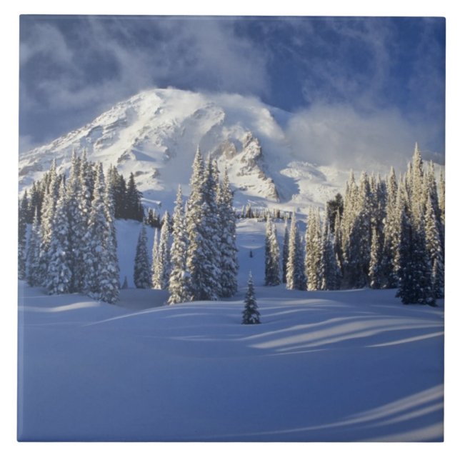 WA, Rainier NP, Rainier und Paradise Fliese (Vorderseite)