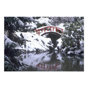 WA, Seattle, Mondbrücke und Teich nach dem Winter Fotodruck