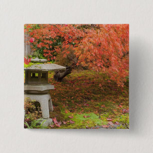 WA, Seattle, Washington Park Arboretum, Japanisch Button