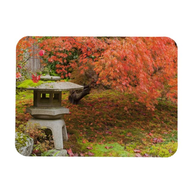 WA, Seattle, Washington Park Arboretum, Japanisch  Magnet (Horizontal)