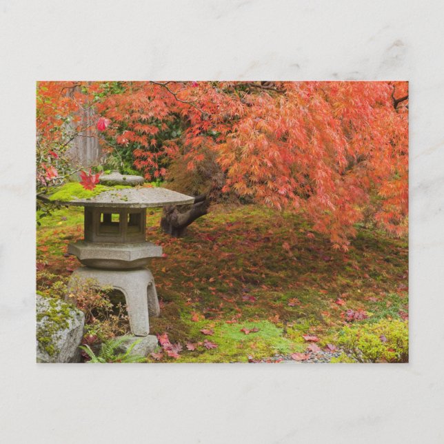 WA, Seattle, Washington Park Arboretum, Japanisch  Postkarte (Vorderseite)