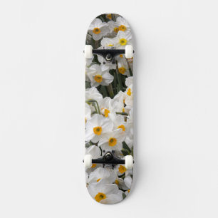 WA, Skagit Valley, Narzissenmuster Skateboard