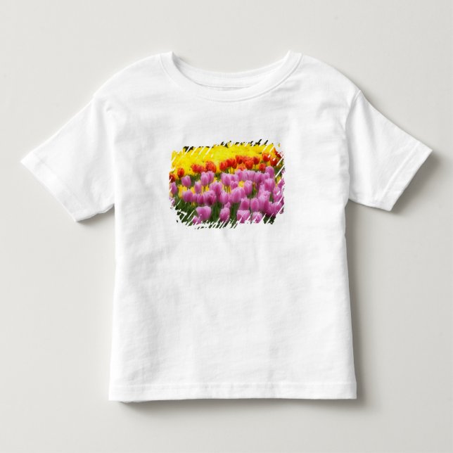 WA, Skagit Valley, Roozengaarde Tulip Garden, 2 Kleinkind T-shirt (Vorderseite)