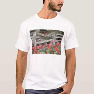 WA, Skagit Valley, Roozengaarde Tulip Garden, T-Shirt