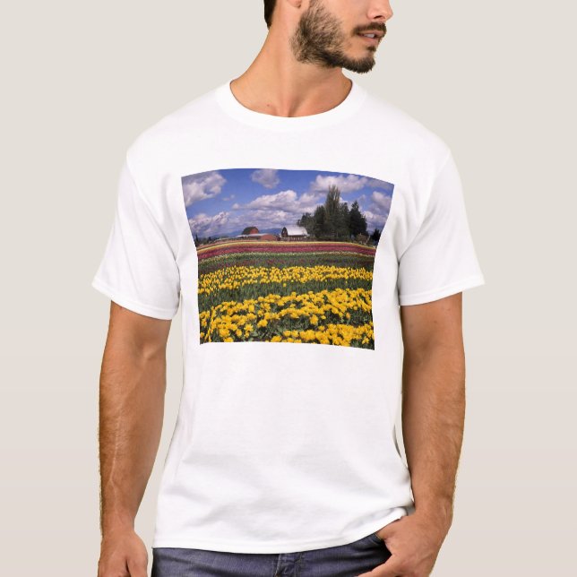 WA, Skagit Valley, Skagit Valley Tulip T-Shirt (Vorderseite)