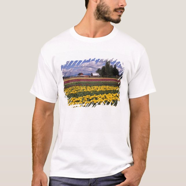 WA, Skagit Valley, Skagit Valley Tulip T-Shirt (Vorderseite)