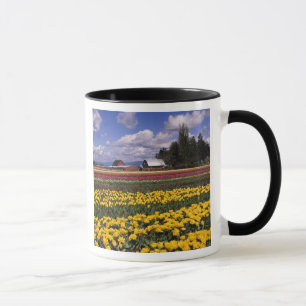 WA, Skagit Valley, Skagit Valley Tulip Tasse