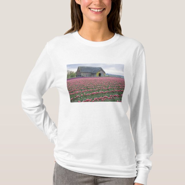 WA, Skagit Valley, Tulip Field und Barn T-Shirt (Vorderseite)