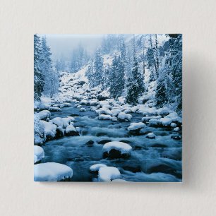 WA, Wenatchee National Forest, Cascade Button