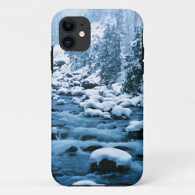 WA, Wenatchee National Forest, Cascade Case-Mate iPhone Hülle (Rückseite)