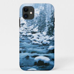 WA, Wenatchee National Forest, Kaskade Case-Mate iPhone Hülle