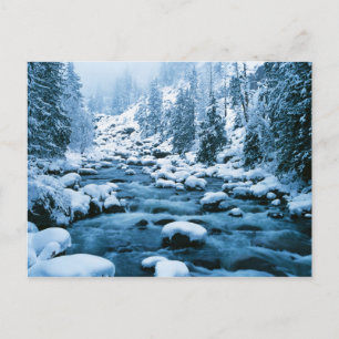 WA, Wenatchee National Forest, Kaskade Postkarte