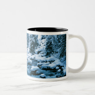 WA, Wenatchee National Forest, Kaskade Zweifarbige Tasse
