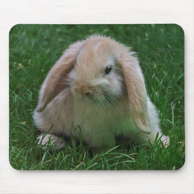 Wabbit Mousemat Mousepad (Vorne)