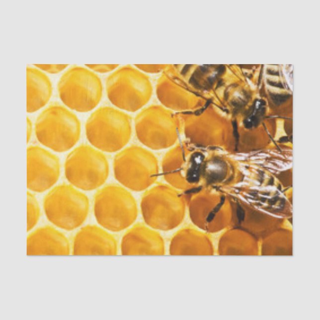 Wabendesign und Bienenmuster Seidenpapier (Vorderseite)