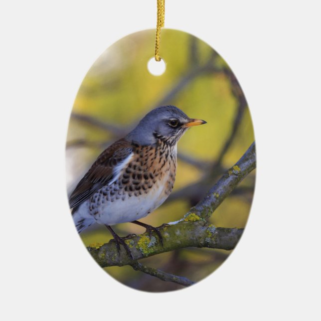 Wacholderdrossel Keramik Ornament (Vorne)