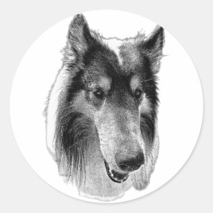 Wachsam & Still – Collie Runder Aufkleber
