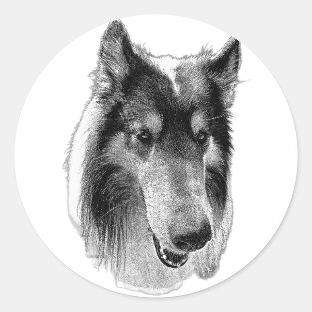 Wachsam & Still – Collie Runder Aufkleber (Vorderseite)