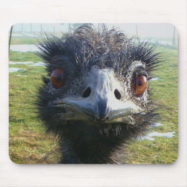 Wachsame Augen EMU Mousepad (Vorne)