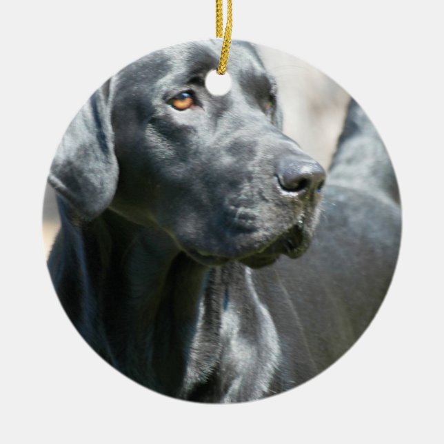 Wachsame schwarze Labrador Keramikornament (Vorne)