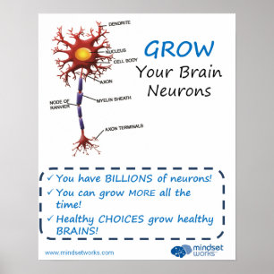 Wachsen Sie Ihr Gehirn-Neuronen Brainology® Plakat